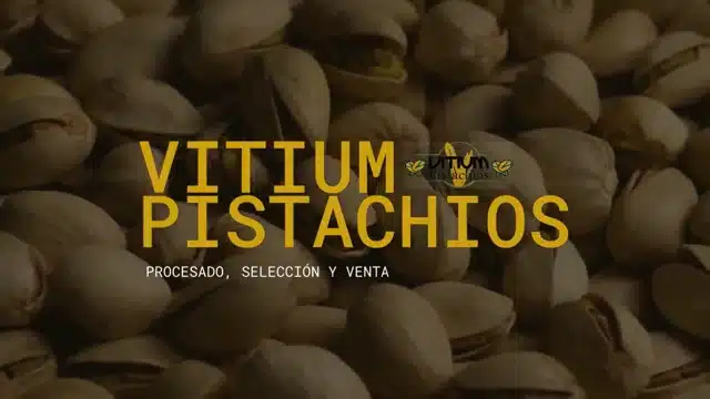 Vitium Pistachios